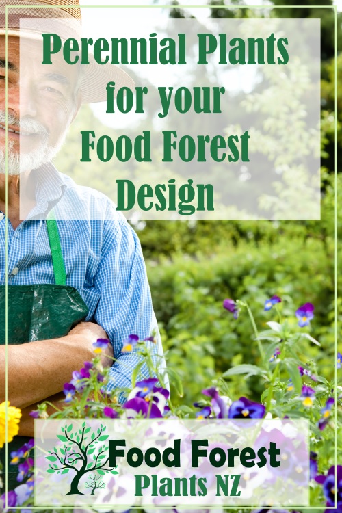 Perennial Plants for an Edible Food Forest Garden