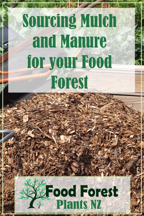 finding free mulch and manure ideas for growing a food forest garden using permaculture