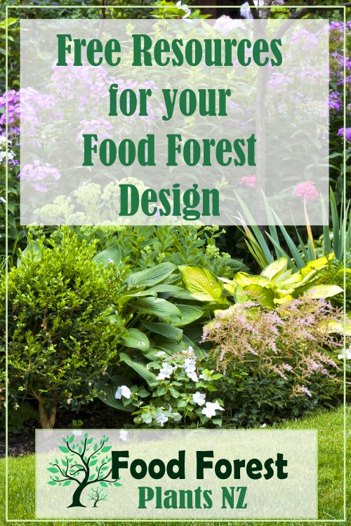Free resources for growing a food forest garden