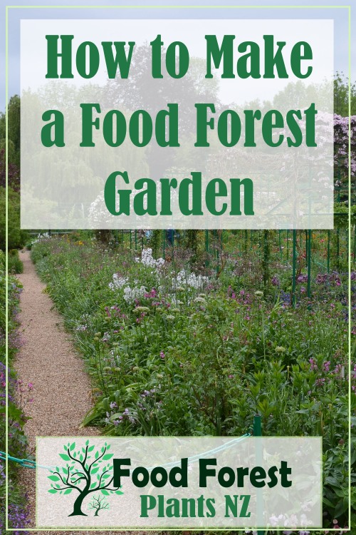 How to Make a Food Forest Garden. Notes from a free workshop.