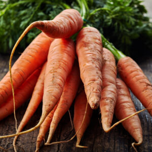Carrot Seed - Orange Landrace