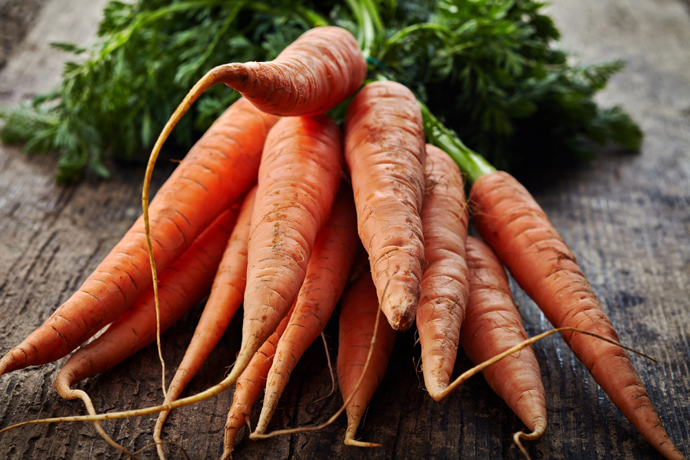 Carrot Seed - Orange Landrace