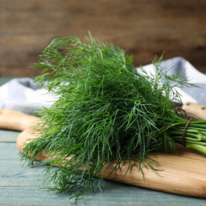 Dill Seeds