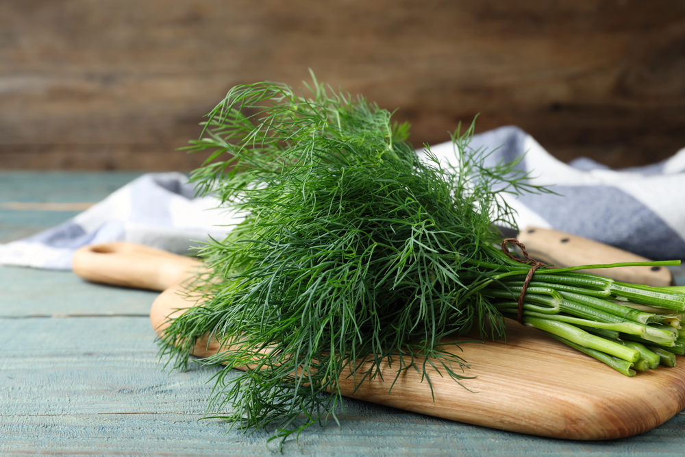 Dill Seeds