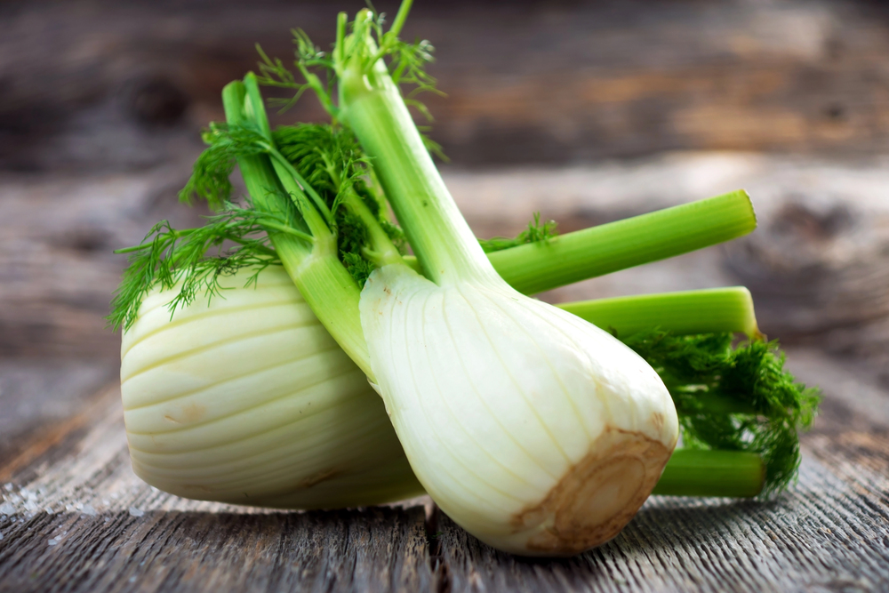 Florence Fennel Seed