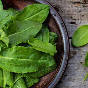 Lemon Sorrel Seeds