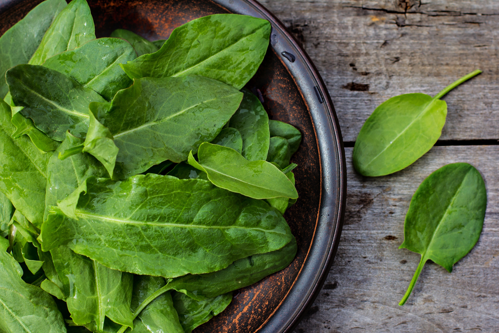 Lemon Sorrel Seeds