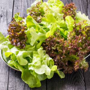 Mixed Loose Leaf Lettuce Landrace Seeds