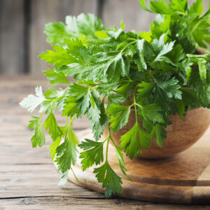 Flat Leaf Parsley Seed