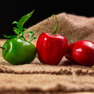 Rocoto Perennial Pepper Seeds