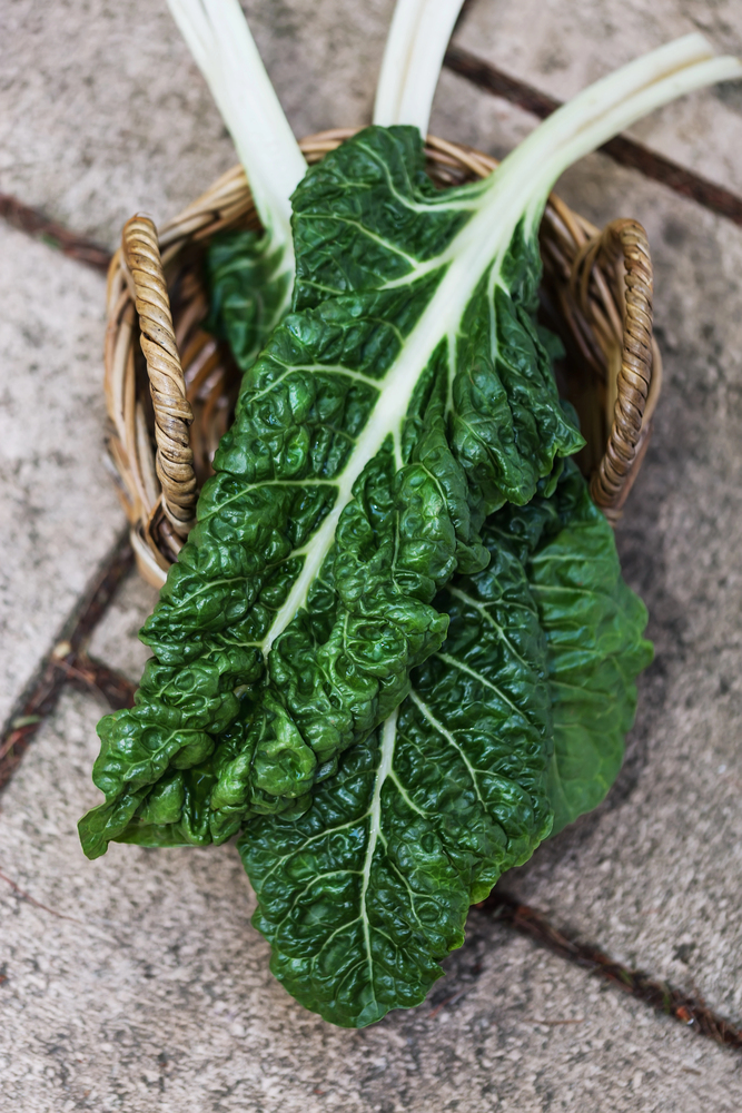 Silverbeet Seeds